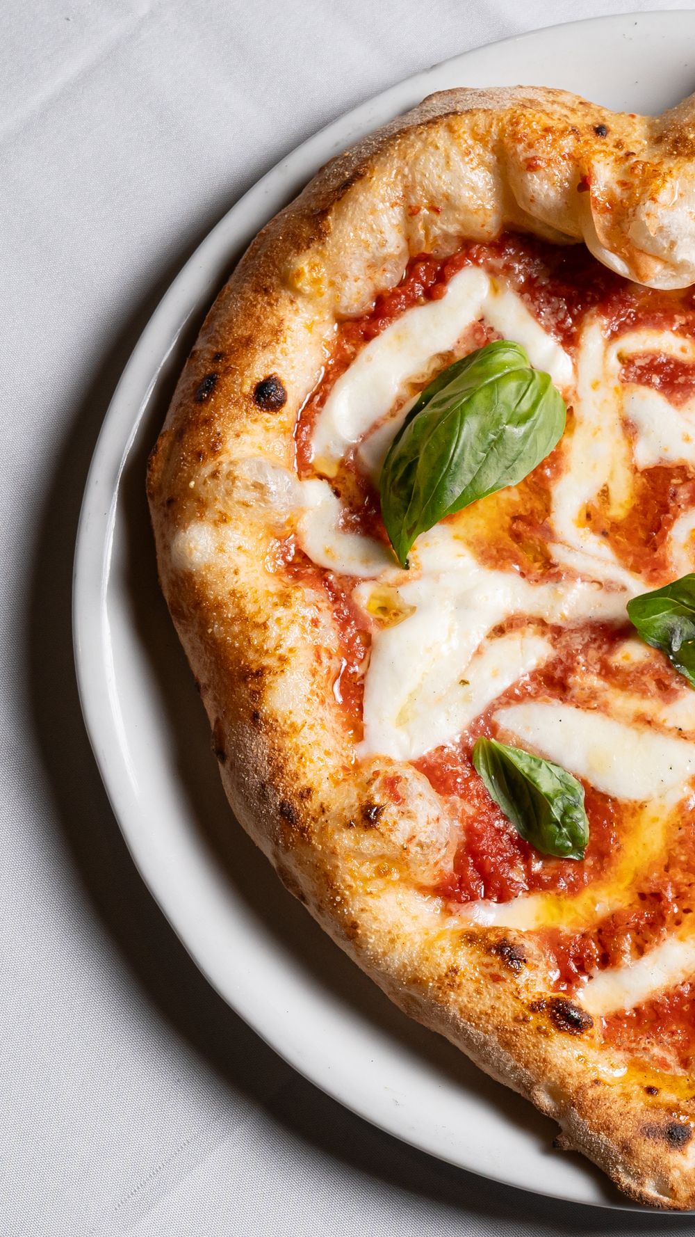 Close-up of Margherita pizza with melted mozzarella, tomato sauce, and basil